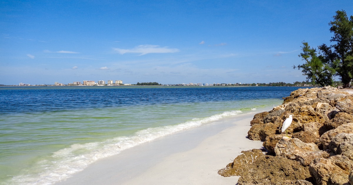 White sand shoreline and calm waters at Fort De Soto Park