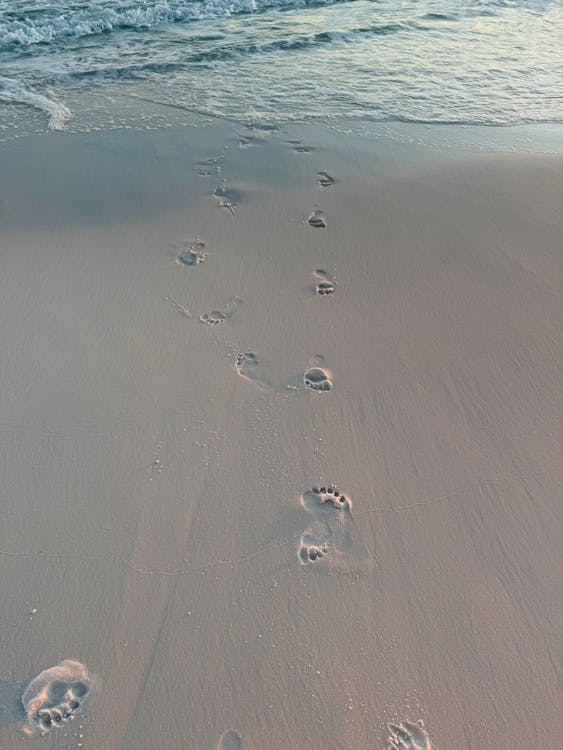 Pristine untouched sand on Caladesi Island State Park beach